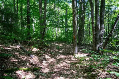 0 West Hill Road South Jamaica VT 05343