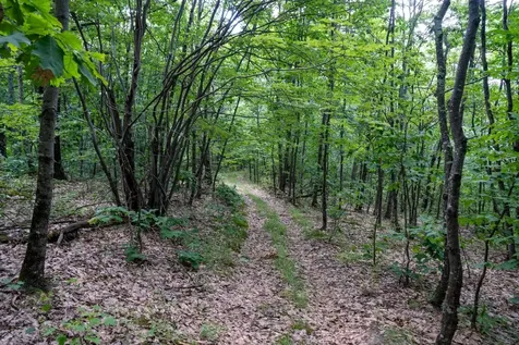 0 West Hill Road South Jamaica VT 05343