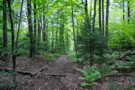 0 West Hill Road South Jamaica VT 05343