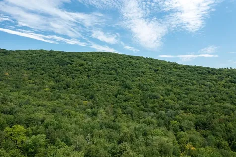 0 West Hill Road South Jamaica VT 05343