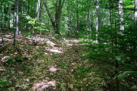 0 West Hill Road South Jamaica VT 05343