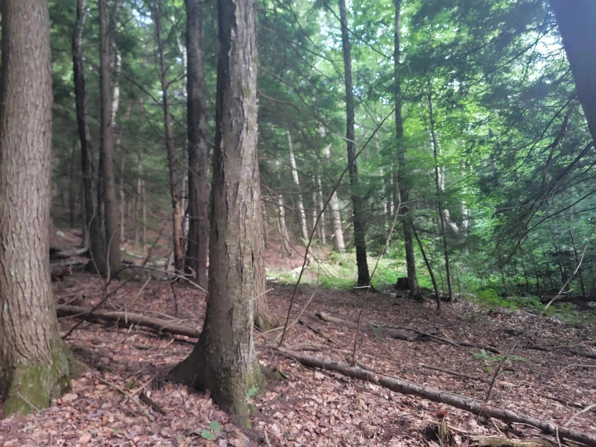 Off Bemis Hill Road Westminster VT 05158