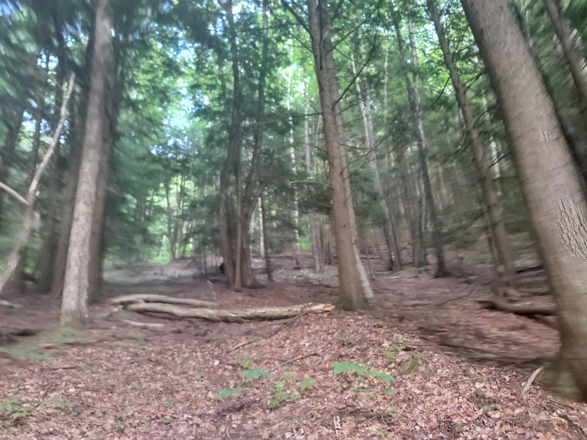 Off Bemis Hill Road Westminster VT 05158