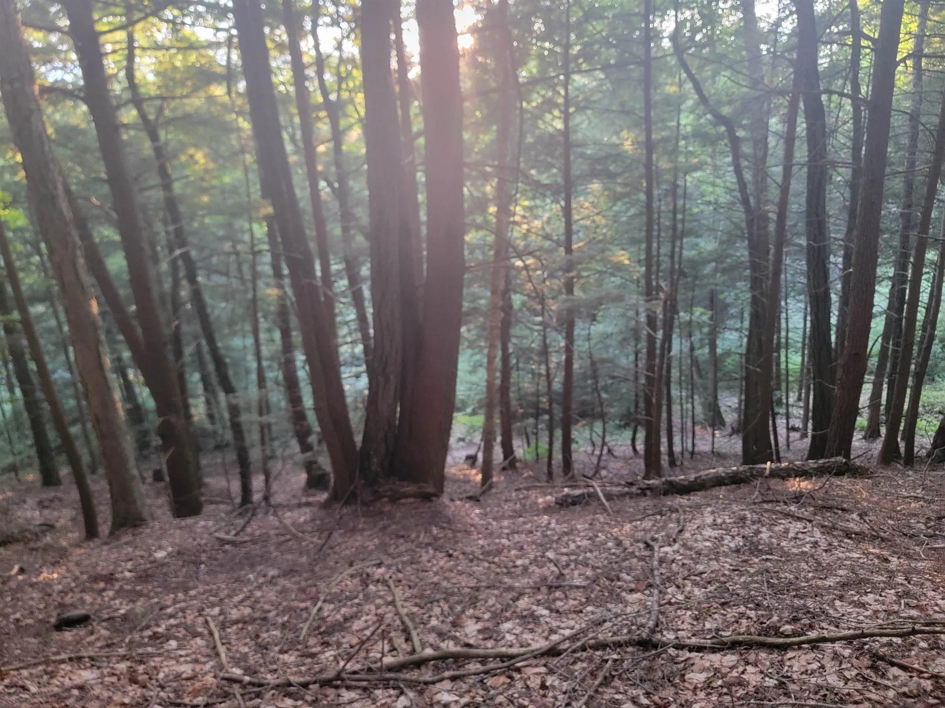 Off Bemis Hill Road Westminster VT 05158