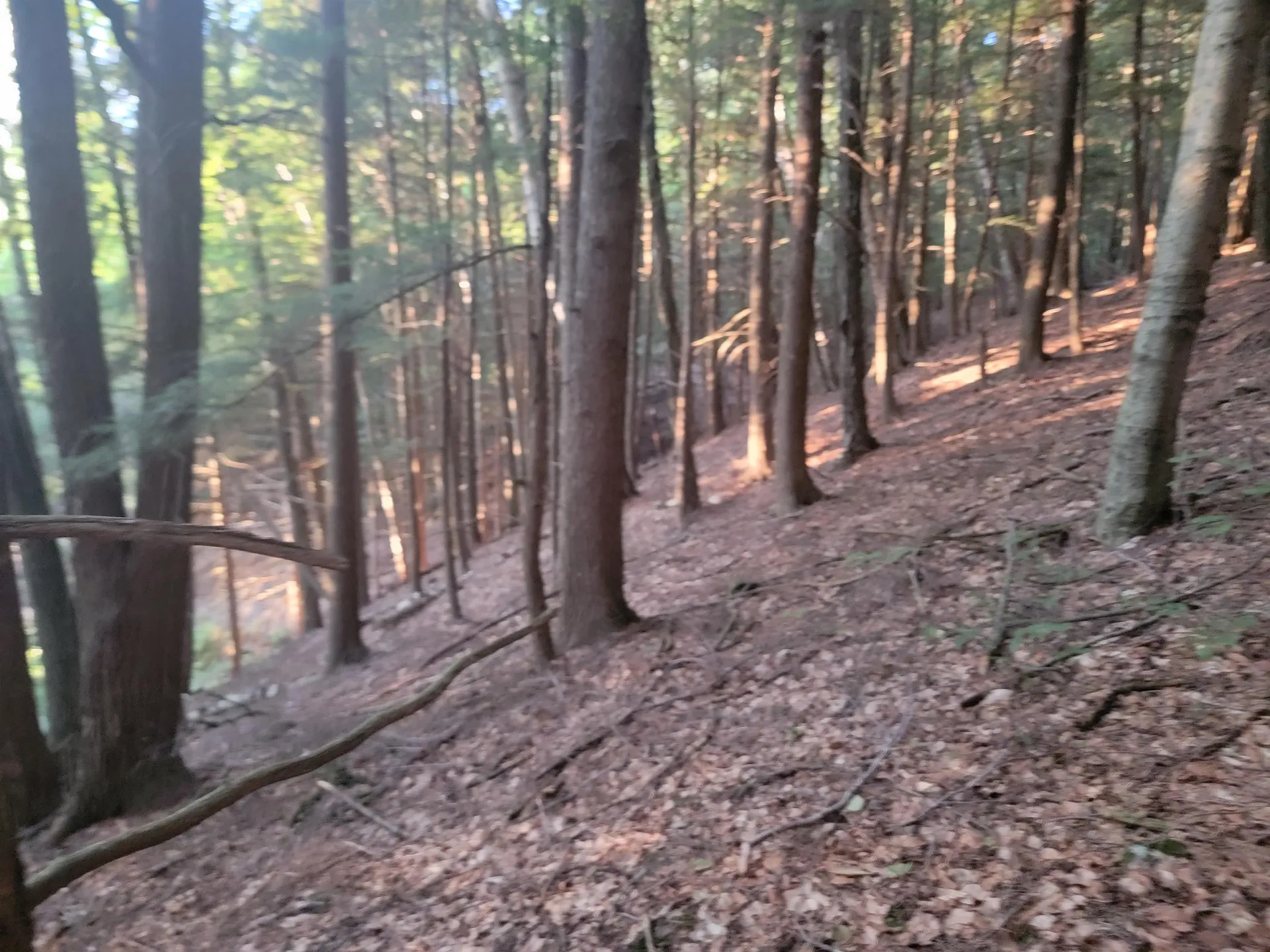 Off Bemis Hill Road Westminster VT 05158