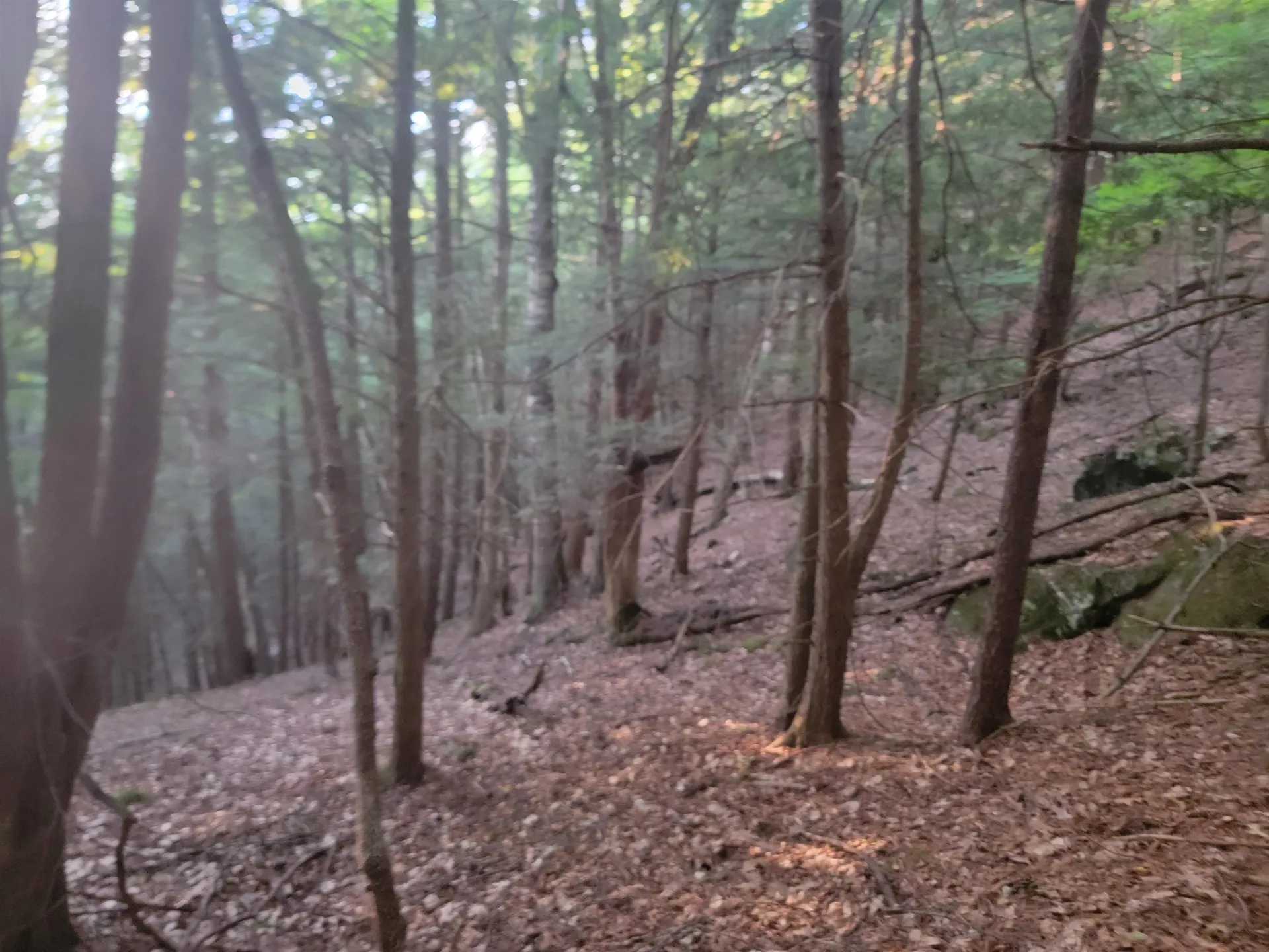 Off Bemis Hill Road Westminster VT 05158