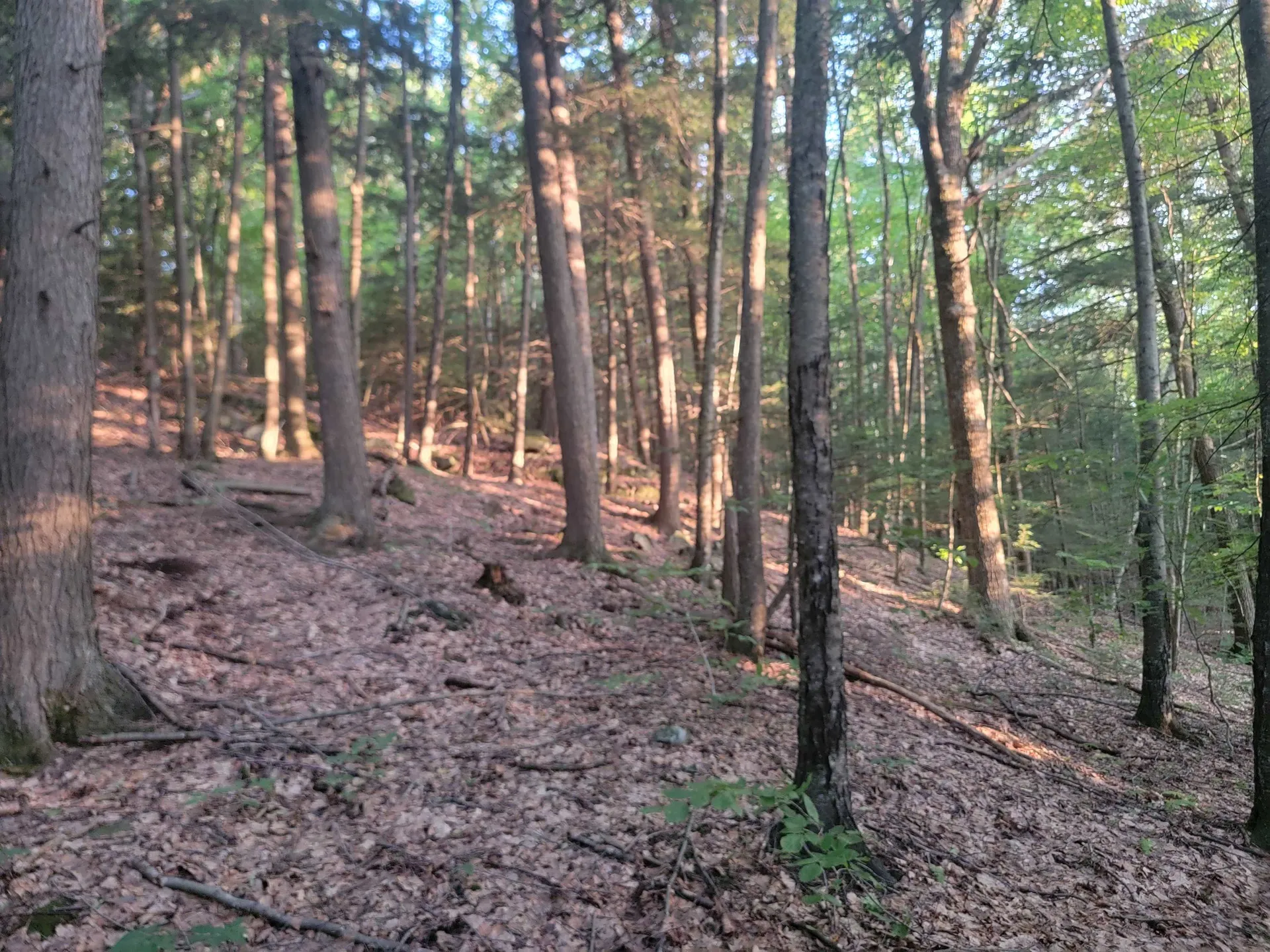 Off Bemis Hill Road Westminster VT 05158