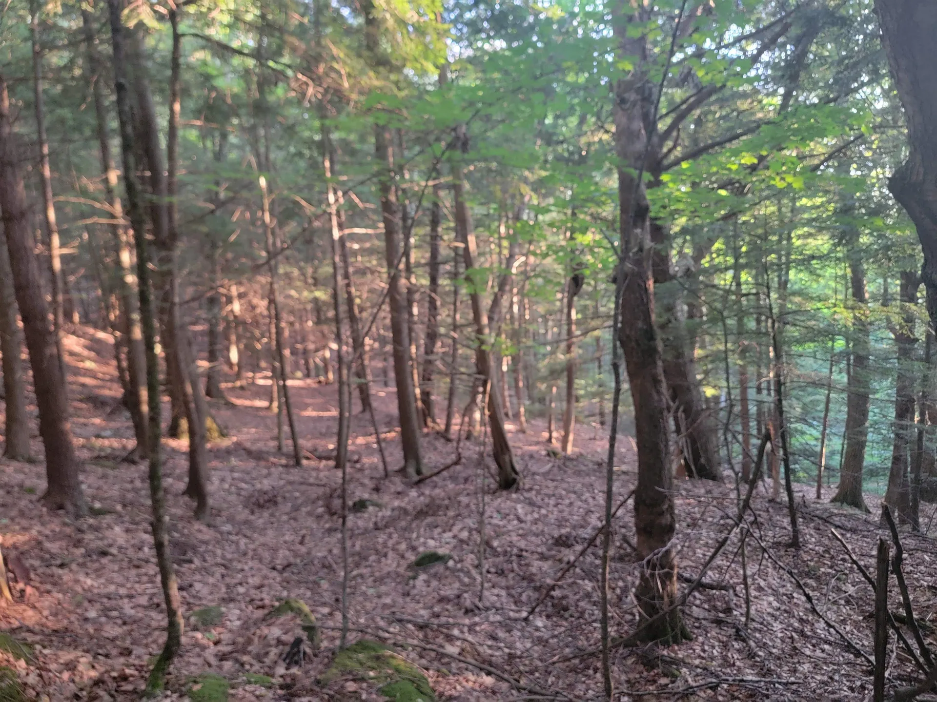 Off Bemis Hill Road Westminster VT 05158