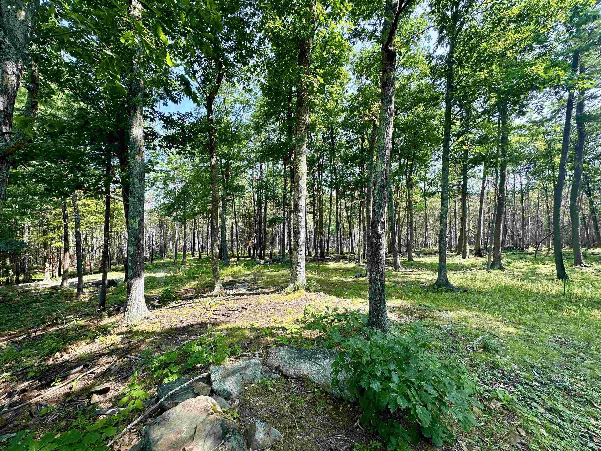 5-2 Sawmill Road Greenfield NH 03047