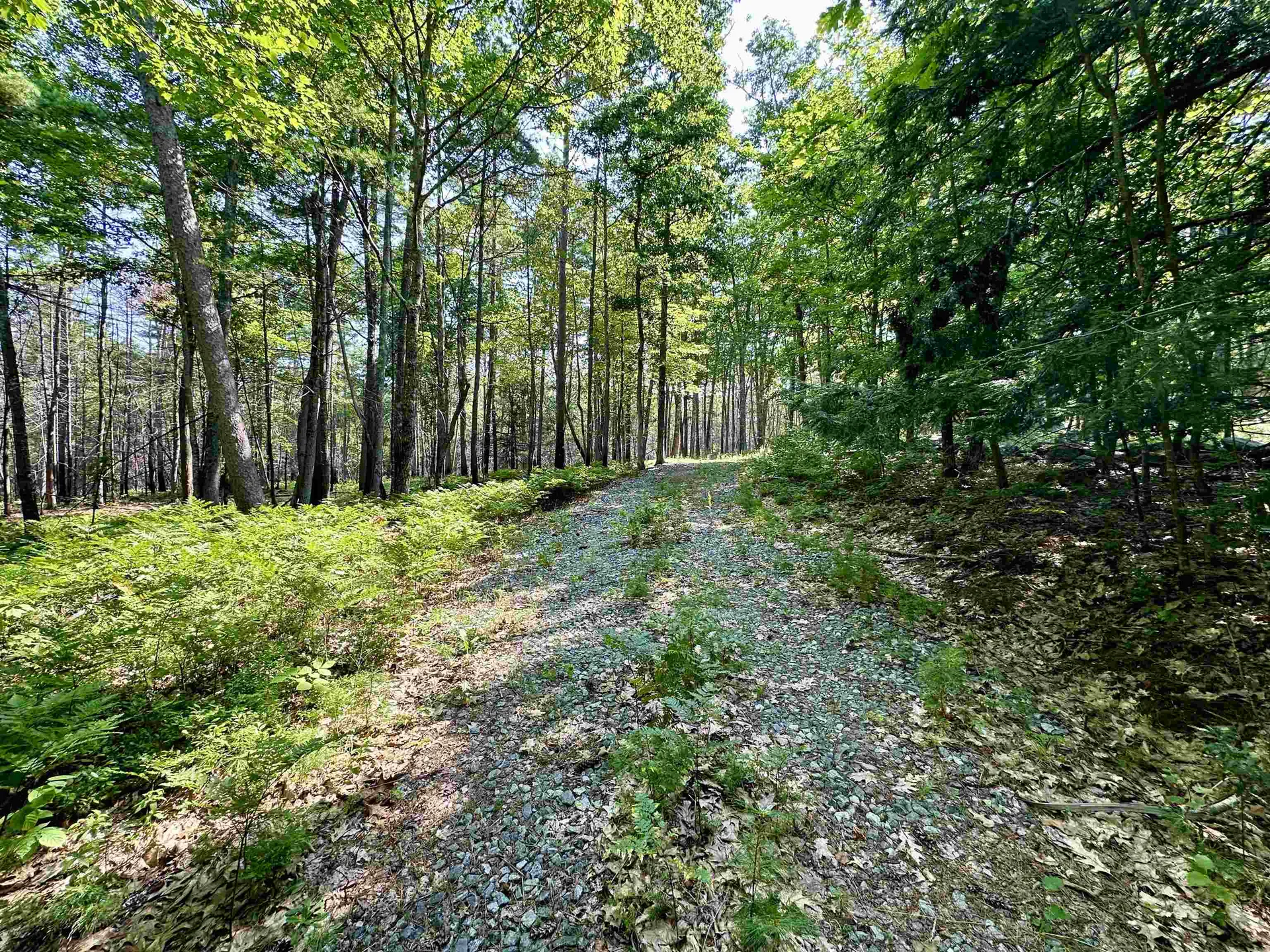 5-2 Sawmill Road Greenfield NH 03047