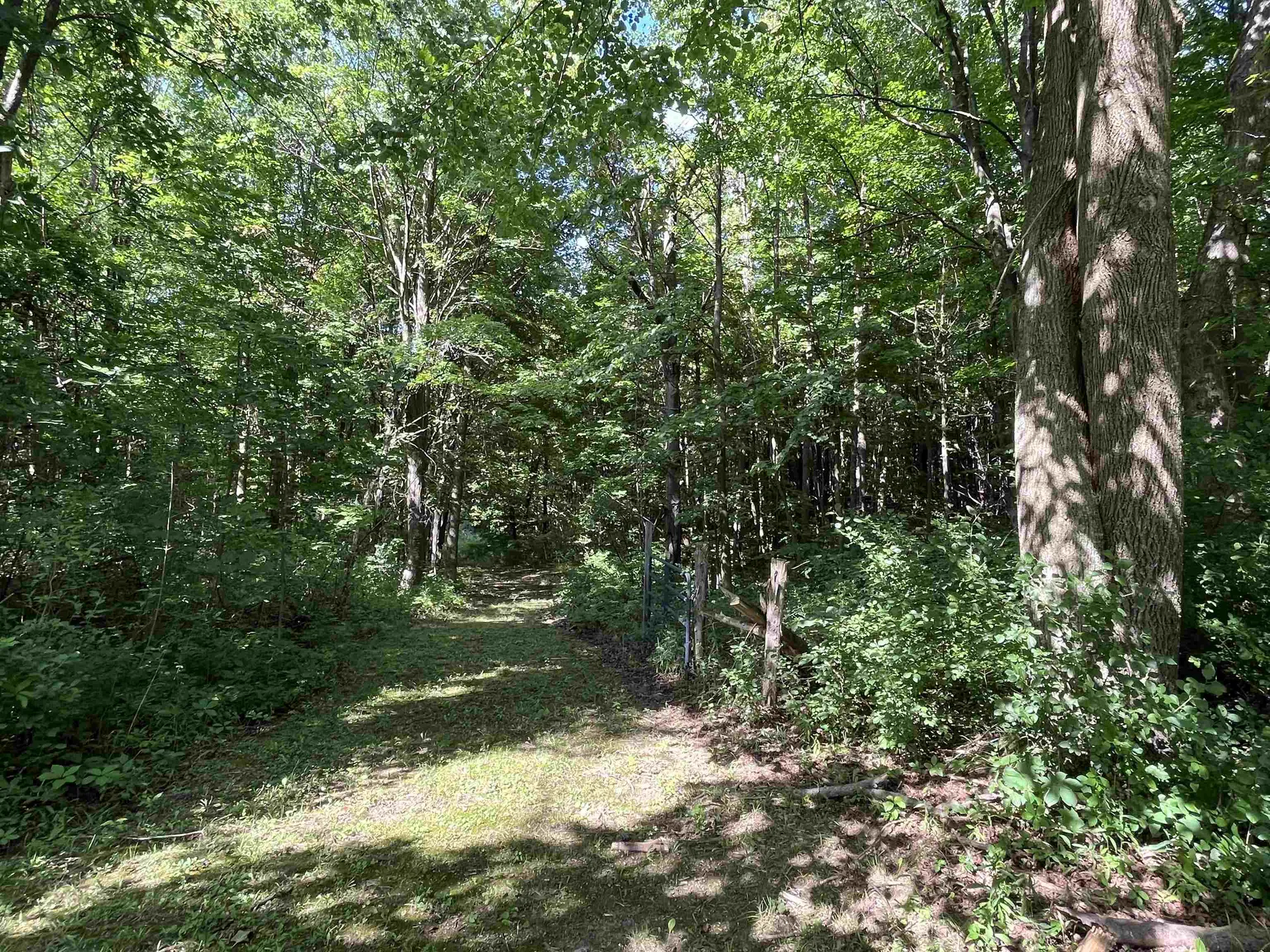 602 Main Street Orwell VT 05760