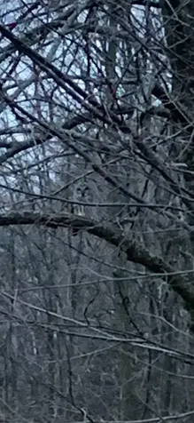 602 Main Street Orwell VT 05760