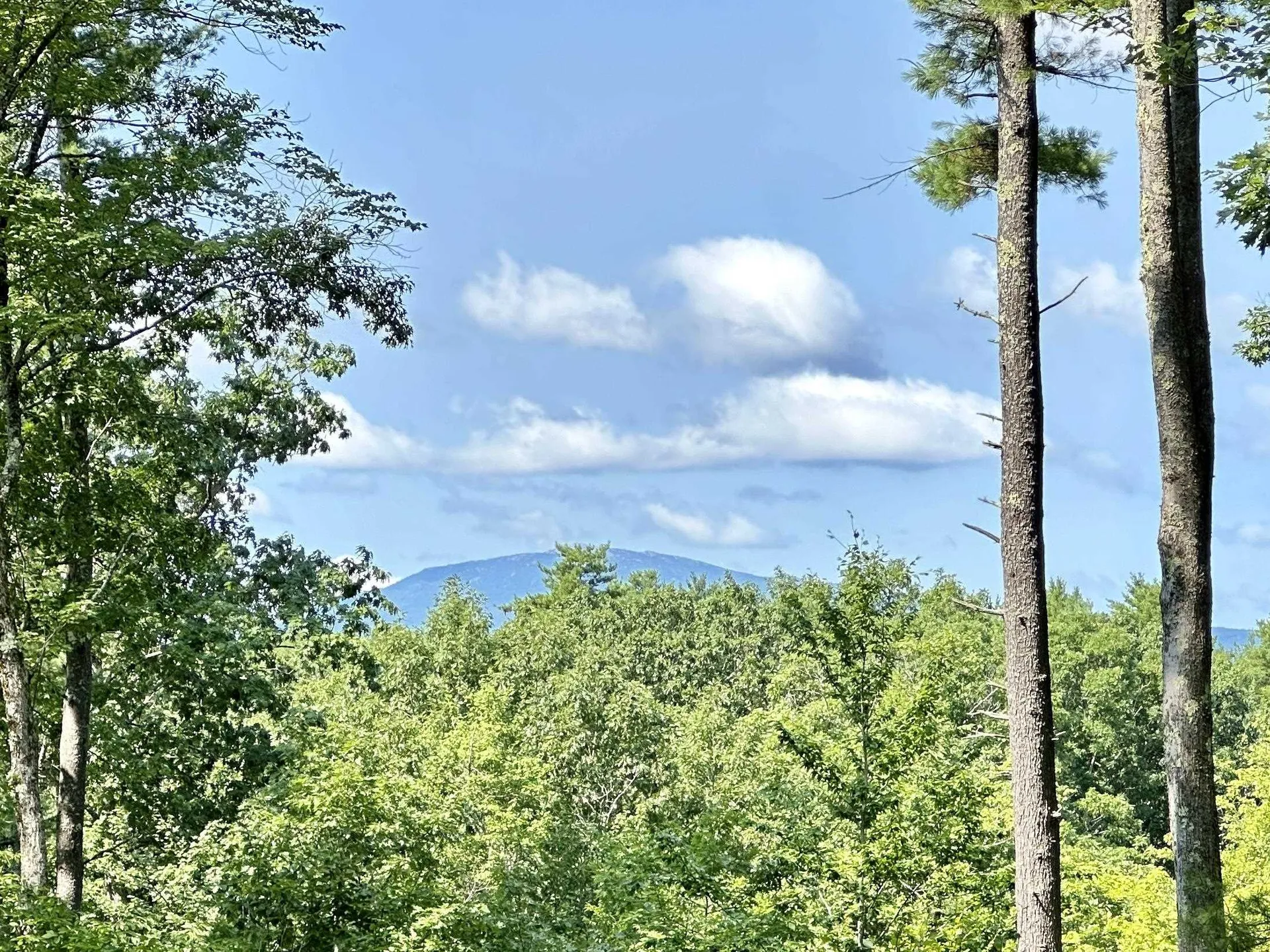 5-3 Sawmill Road Greenfield NH 03047