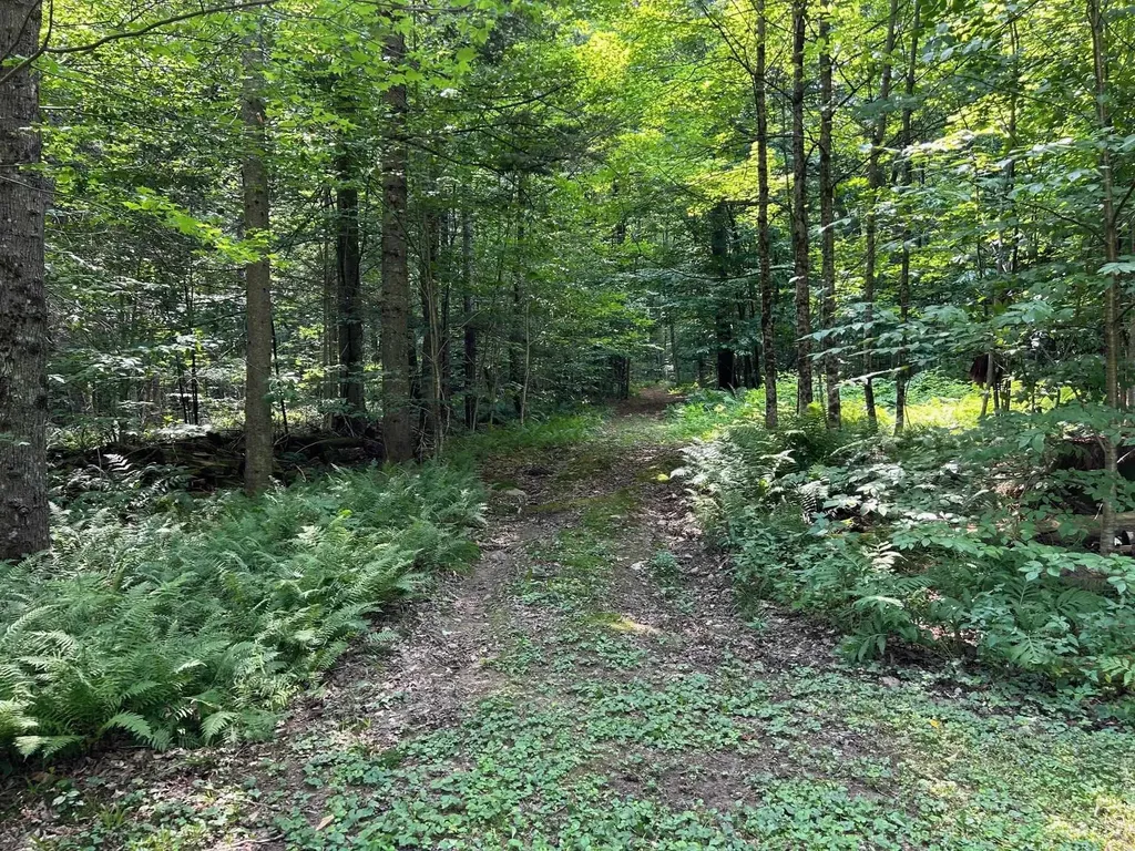 Reilly Road Londonderry VT 05148