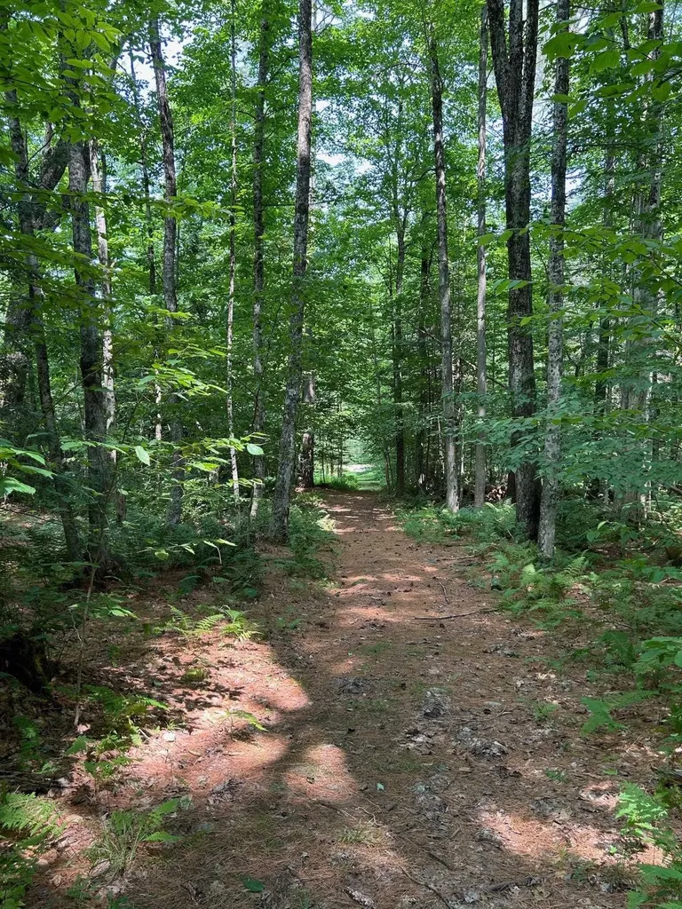 Reilly Road Londonderry VT 05148