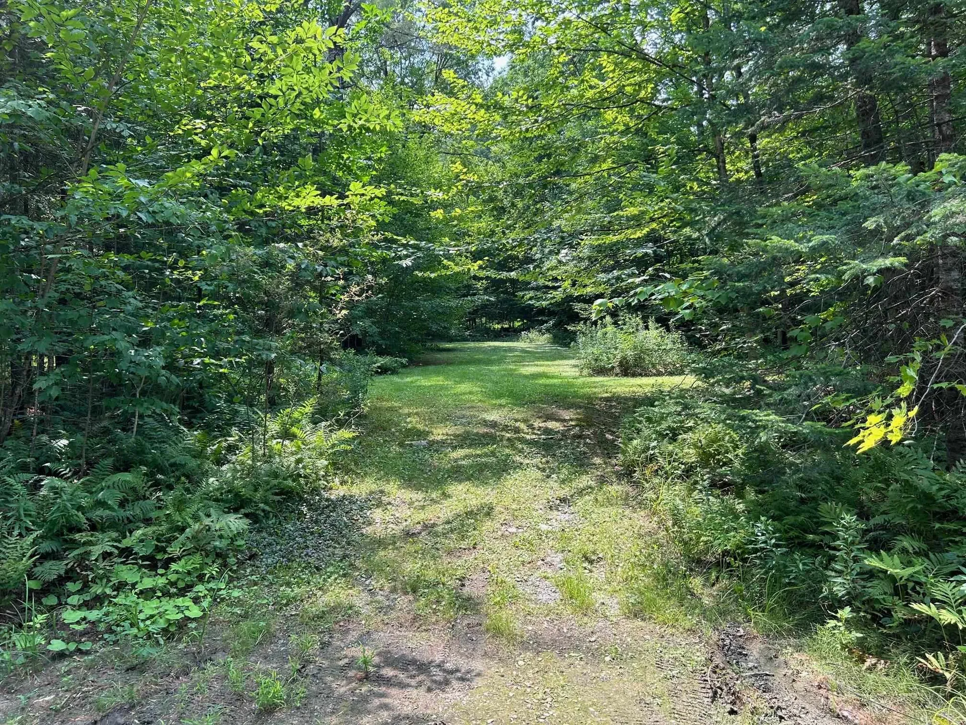 Reilly Road Londonderry VT 05148