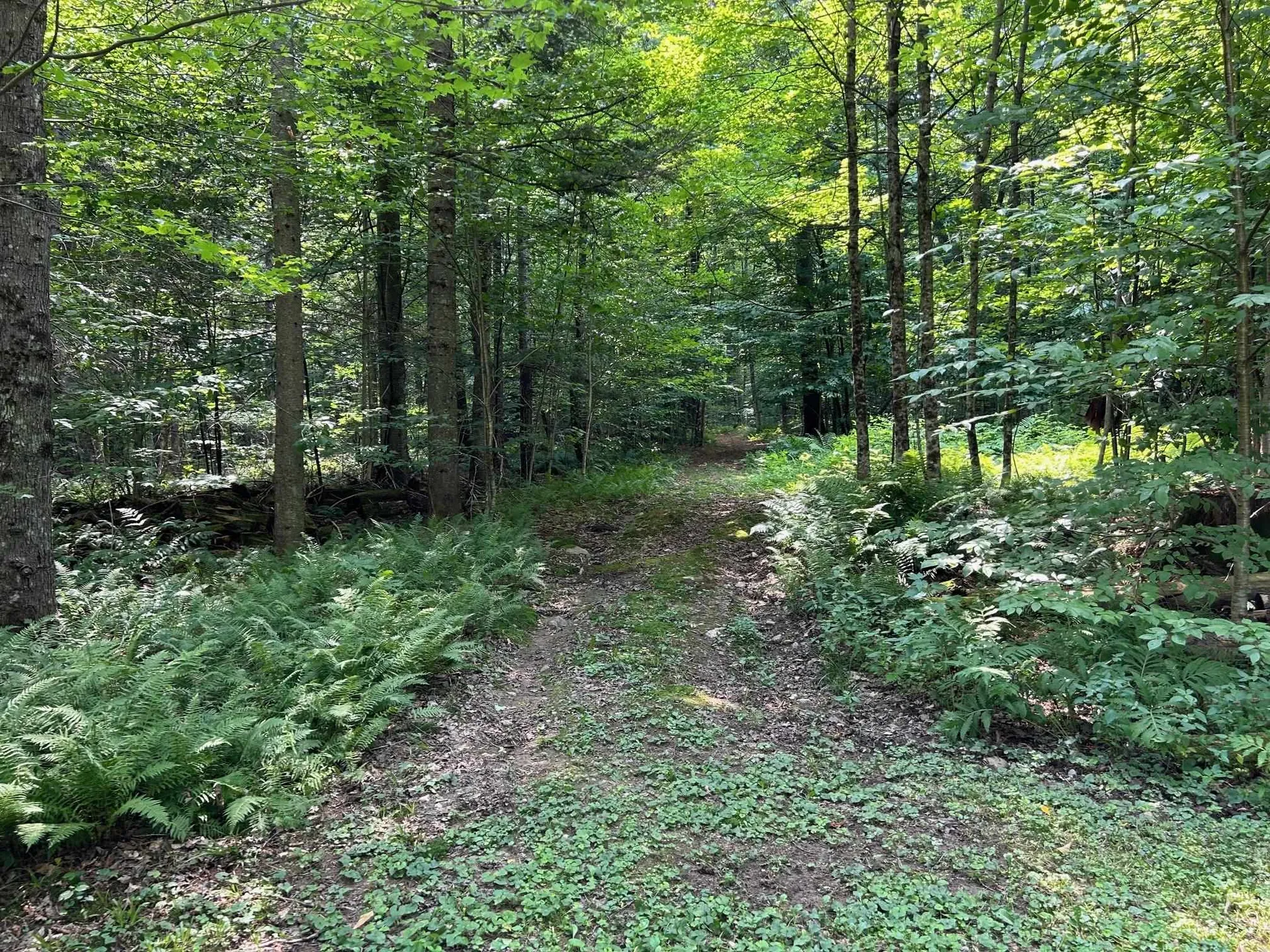 Reilly Road Londonderry VT 05148