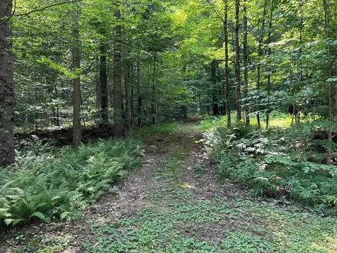 Reilly Road Londonderry VT 05148