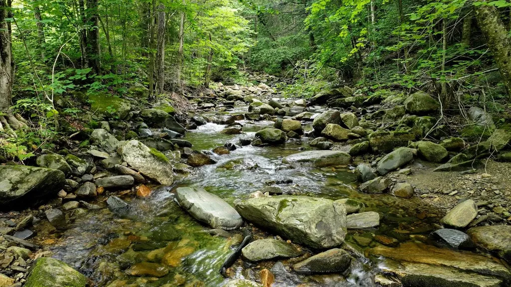 00 Route 100 Weston VT 05161