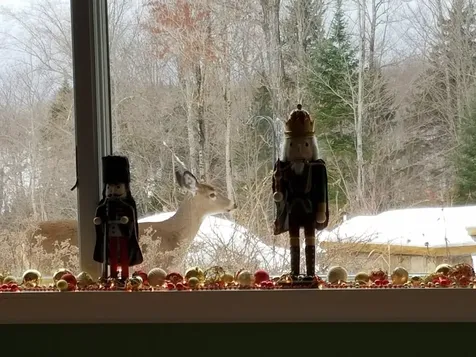 972 Farrar Road Newport Town VT 05857