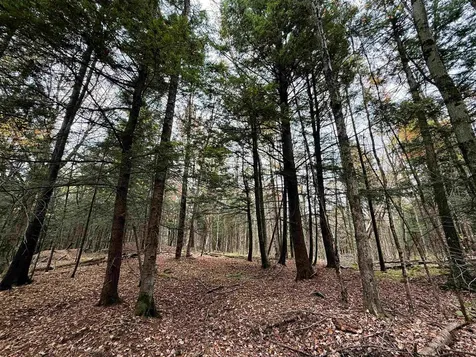 972 Farrar Road Newport Town VT 05857