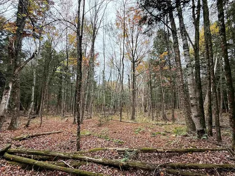 972 Farrar Road Newport Town VT 05857