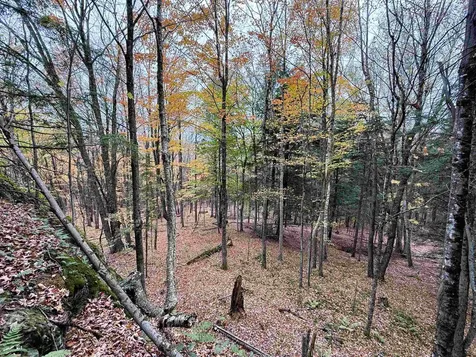 972 Farrar Road Newport Town VT 05857