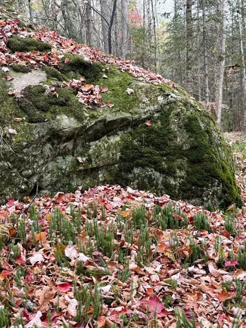 972 Farrar Road Newport Town VT 05857