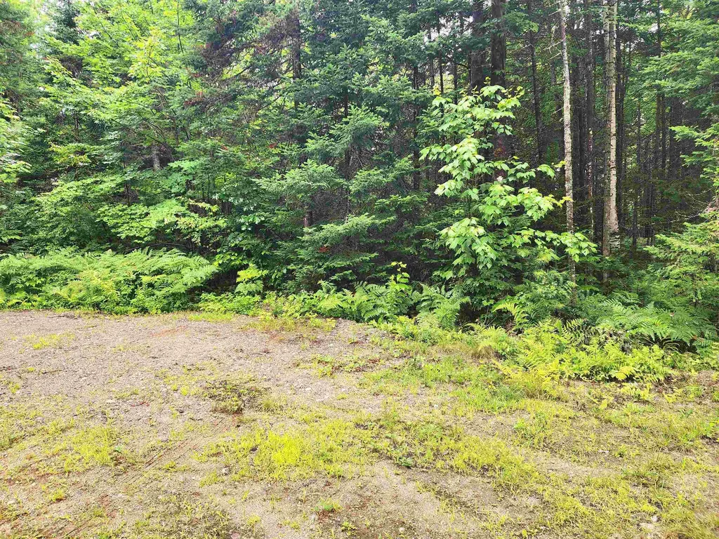 213 Bell Hill Road Stark NH 03582