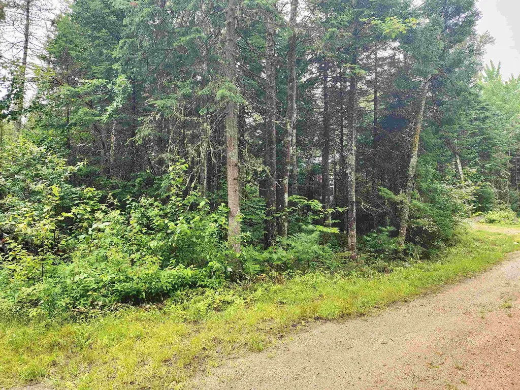 213 Bell Hill Road Stark NH 03582