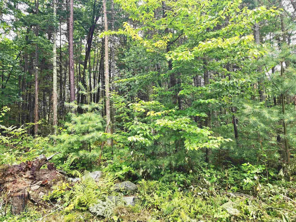 213 Bell Hill Road Stark NH 03582