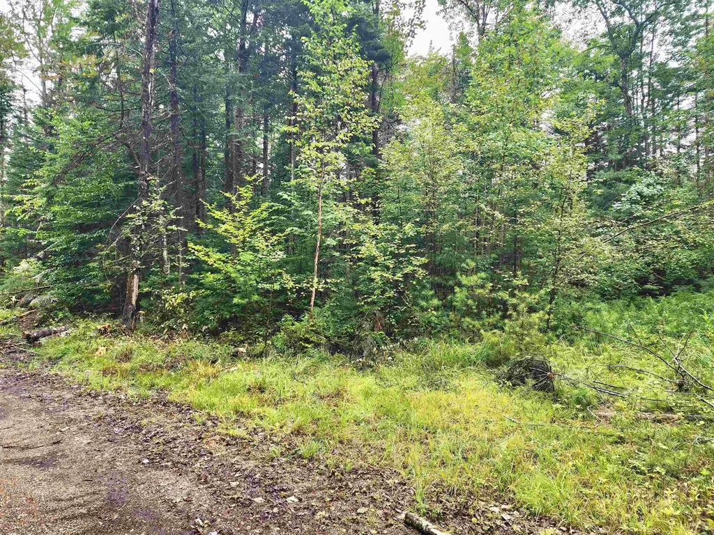 213 Bell Hill Road Stark NH 03582