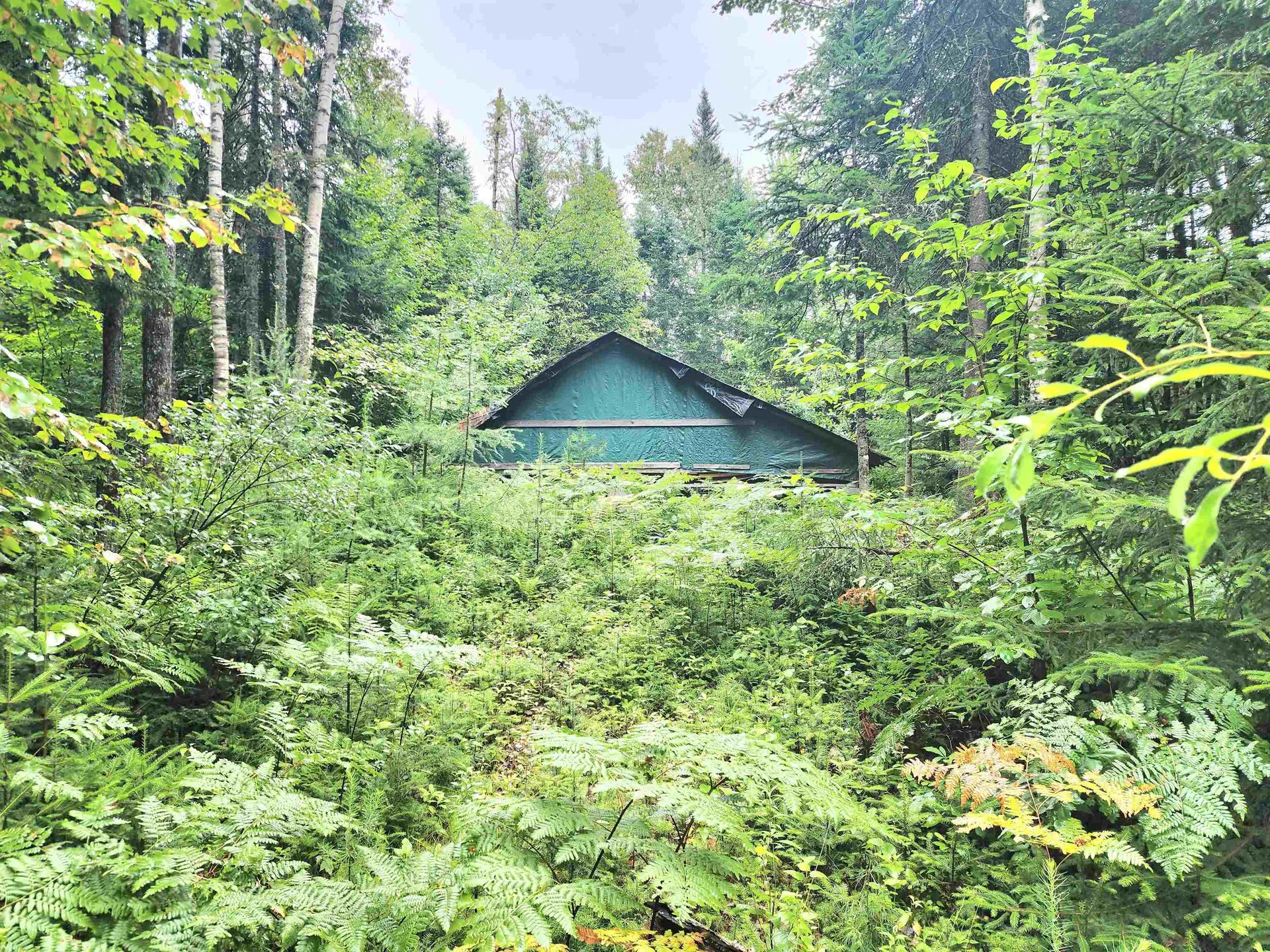 213 Bell Hill Road Stark NH 03582