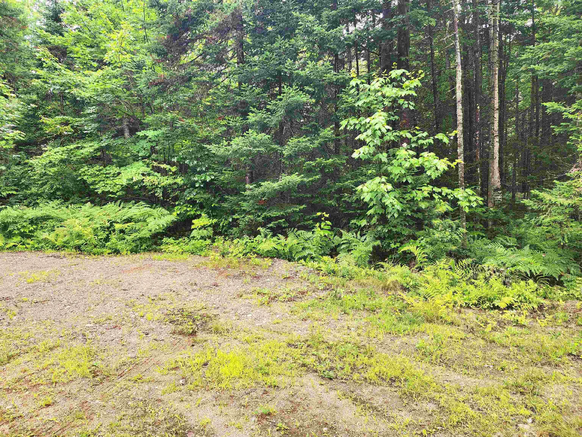 213 Bell Hill Road Stark NH 03582