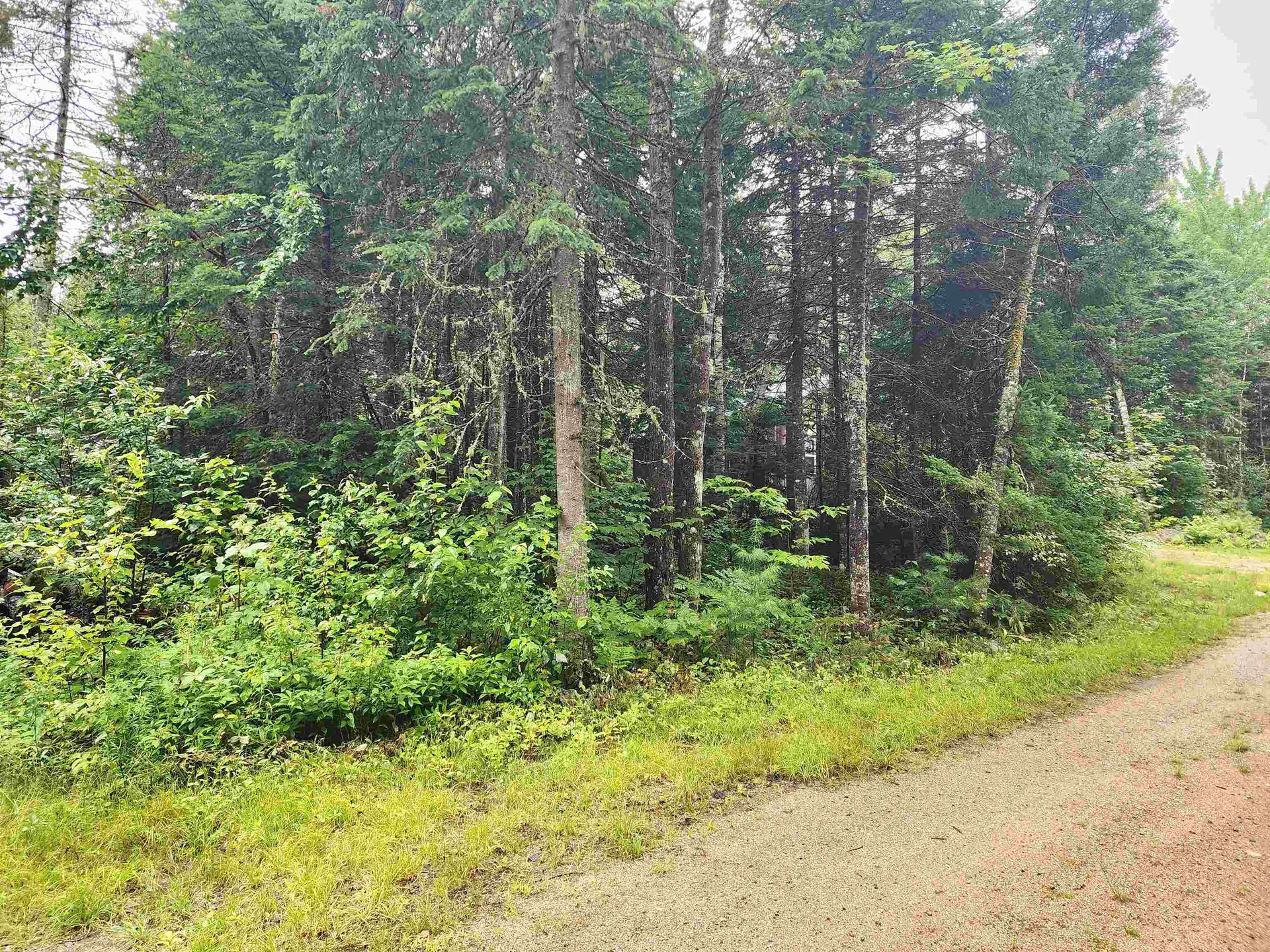 213 Bell Hill Road Stark NH 03582