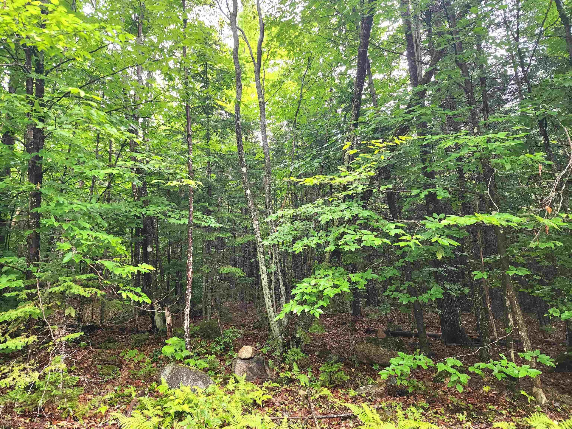 213 Bell Hill Road Stark NH 03582