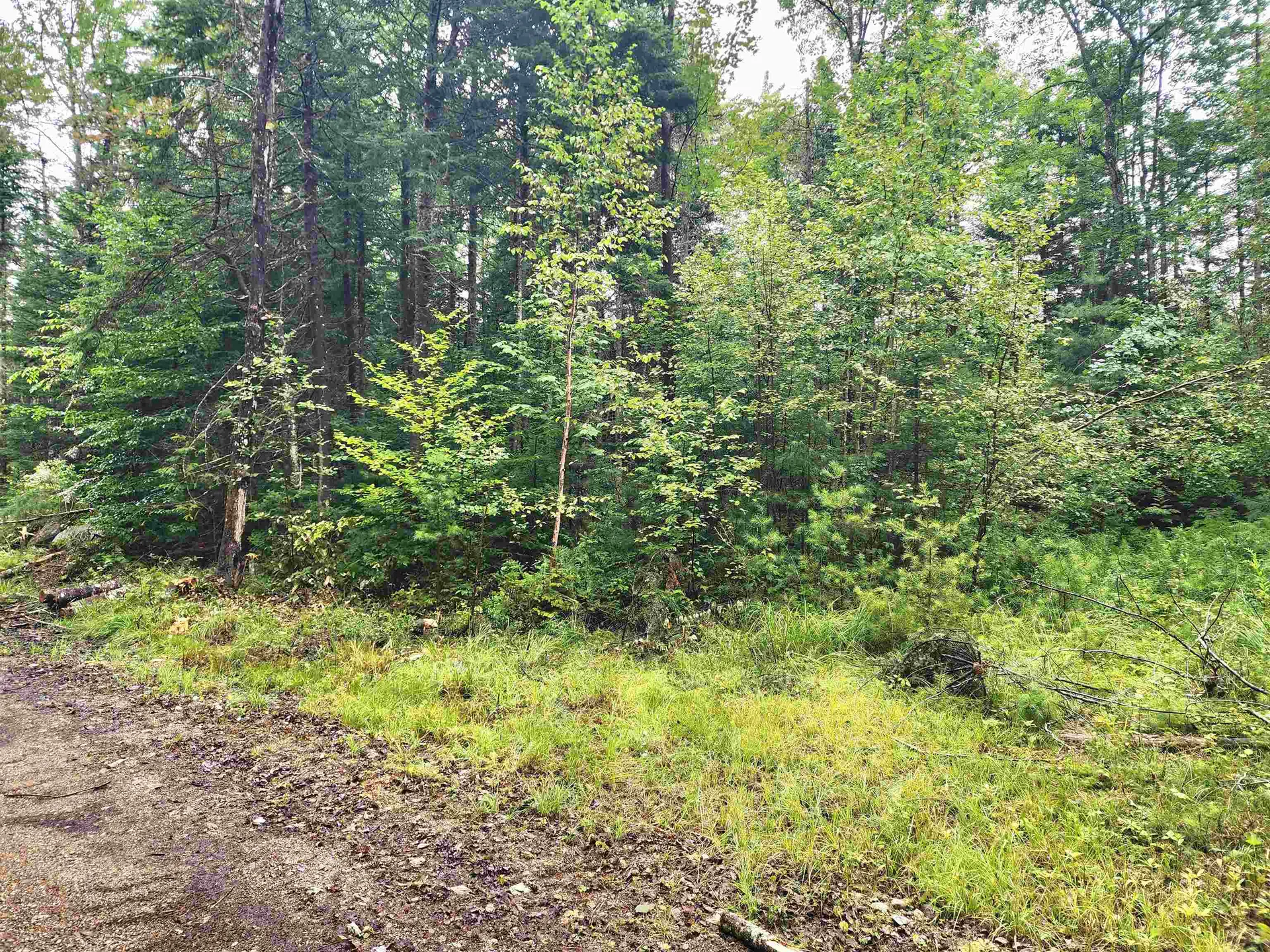 213 Bell Hill Road Stark NH 03582