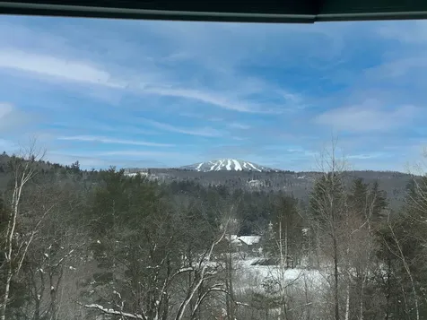 19 Winhall Condo Road Winhall VT 05340