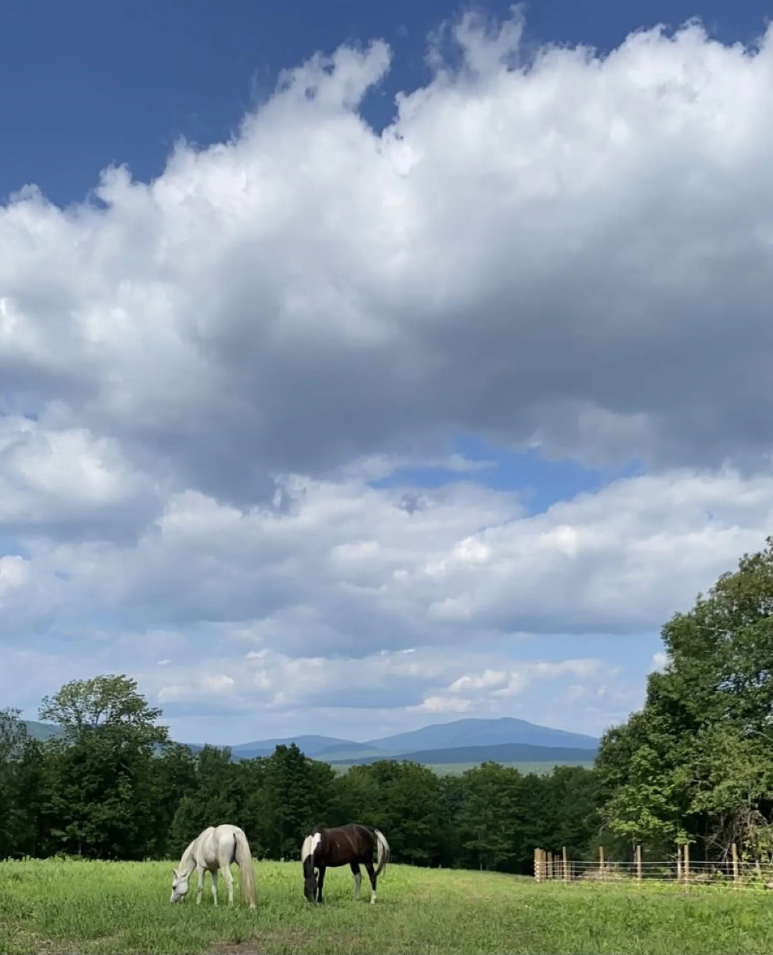 1350 Nh Route 25a Orford NH 03777