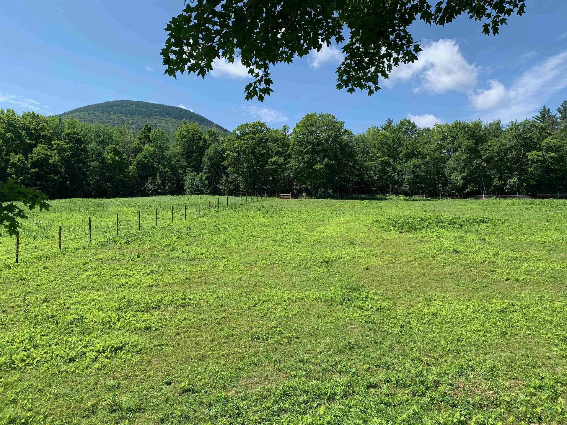 1350 Nh Route 25a Orford NH 03777