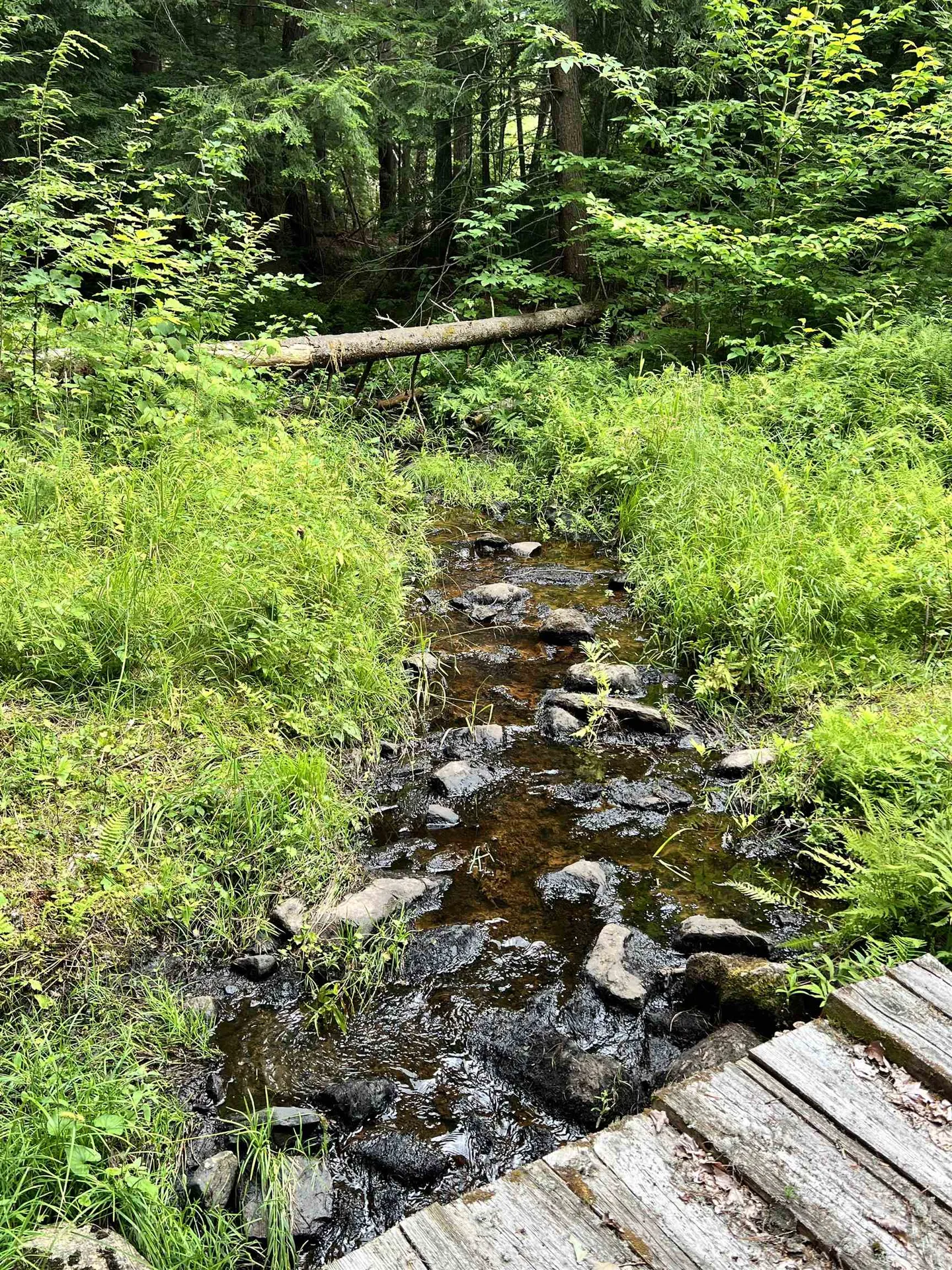 1350 Nh Route 25a Orford NH 03777