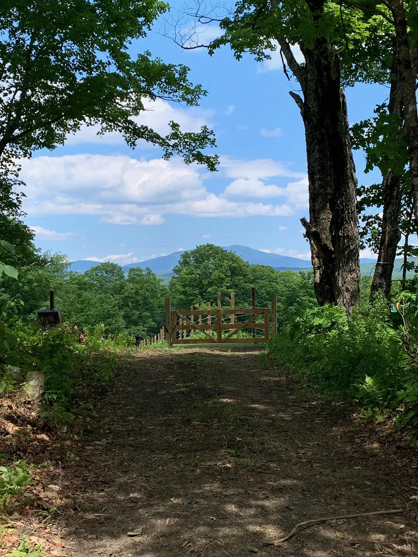 1350 Nh Route 25a Orford NH 03777