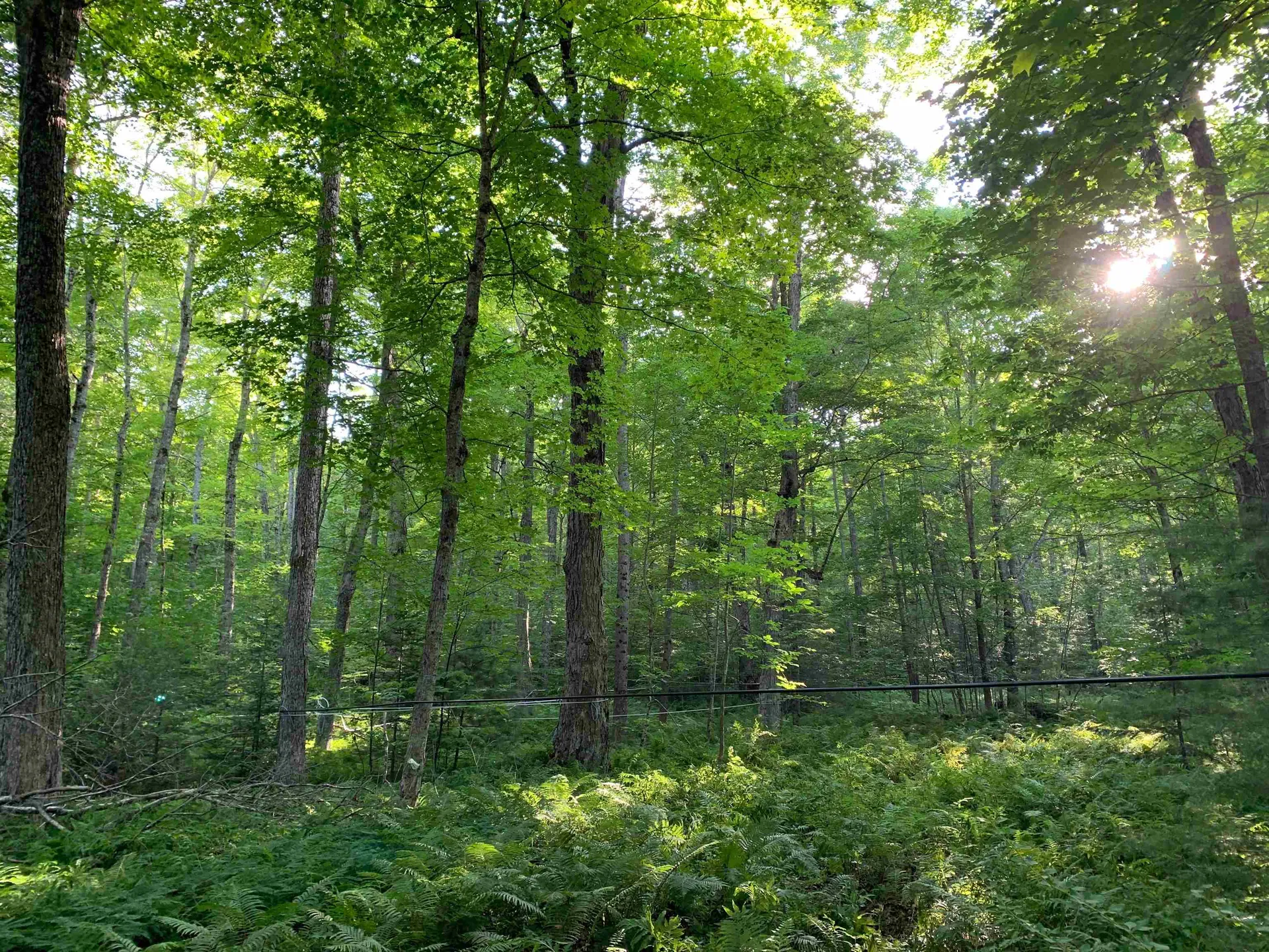 1350 Nh Route 25a Orford NH 03777