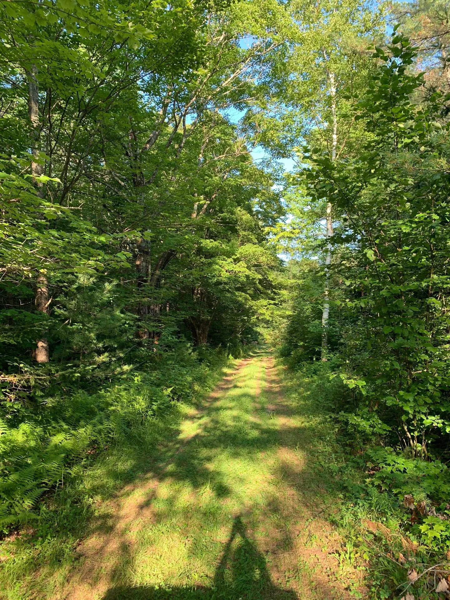 1350 Nh Route 25a Orford NH 03777