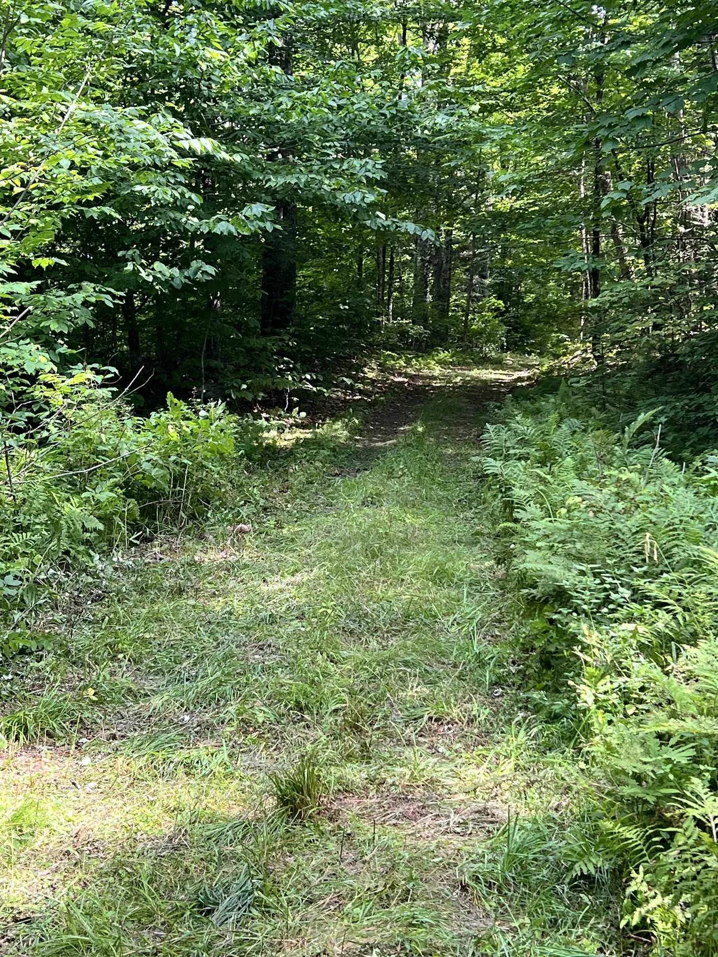 1350 Nh Route 25a Orford NH 03777