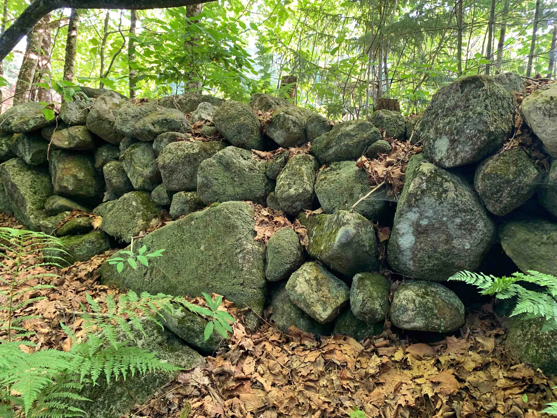 1350 Nh Route 25a Orford NH 03777