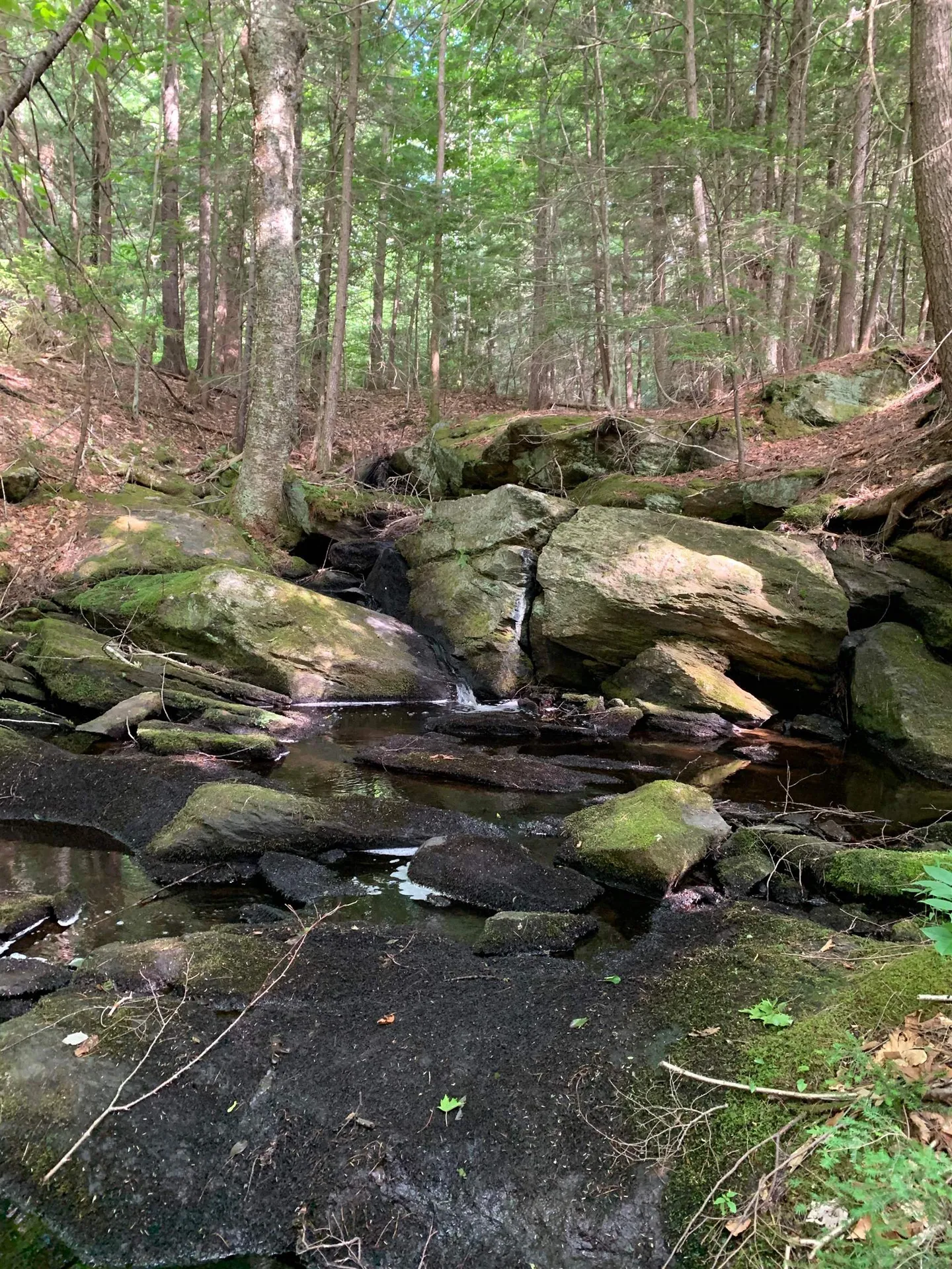 1350 Nh Route 25a Orford NH 03777