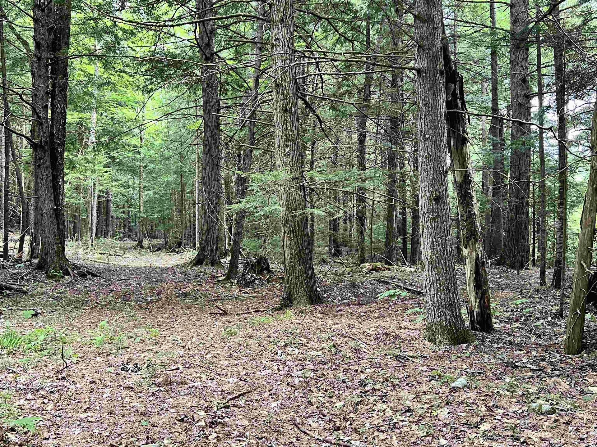 1350 Nh Route 25a Orford NH 03777