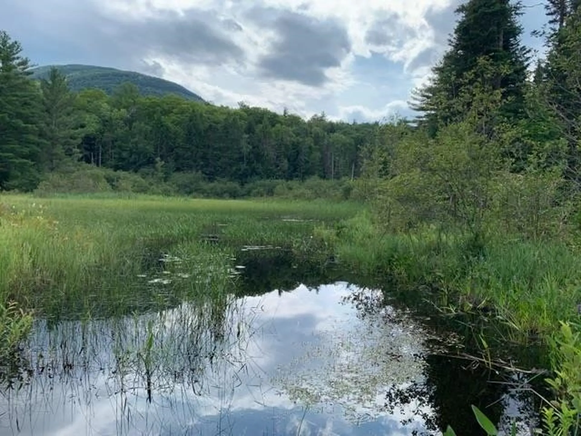 1350 Nh Route 25a Orford NH 03777