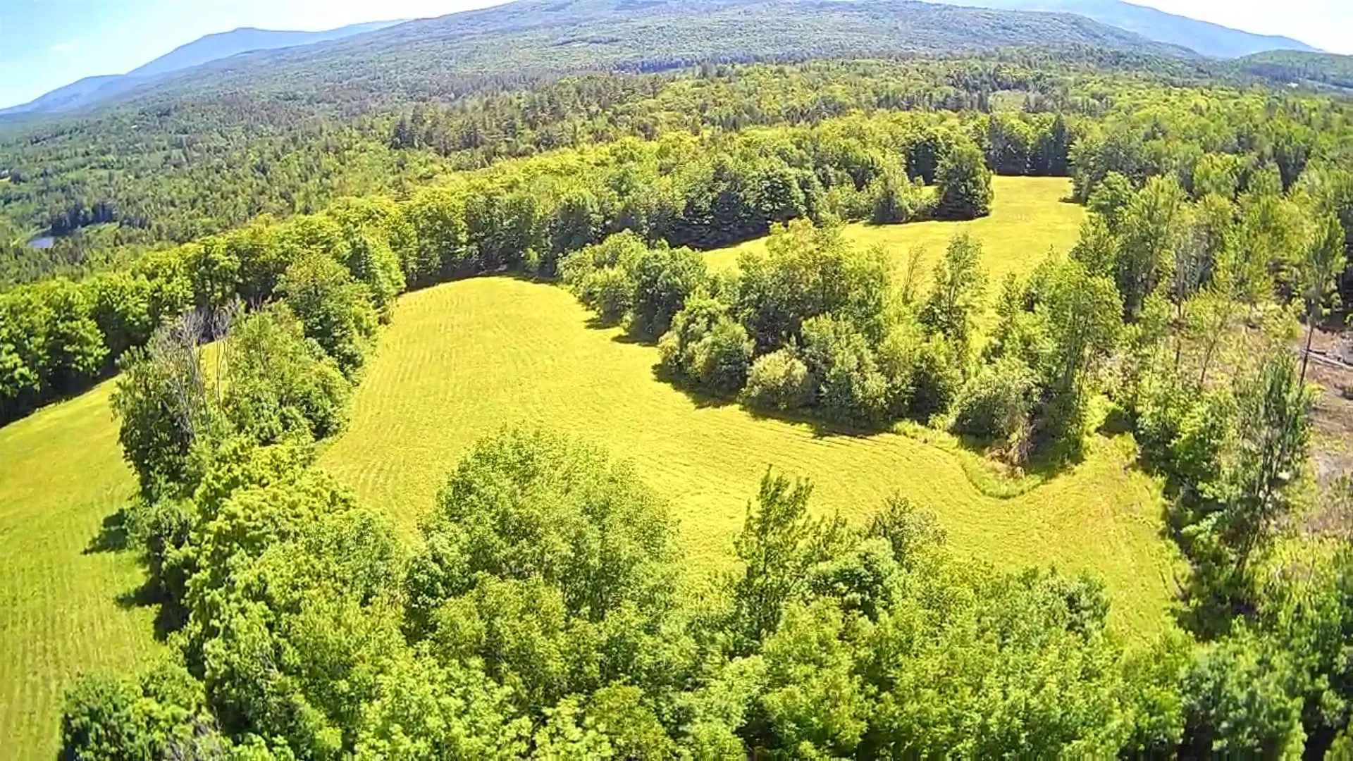 1350 Nh Route 25a Orford NH 03777